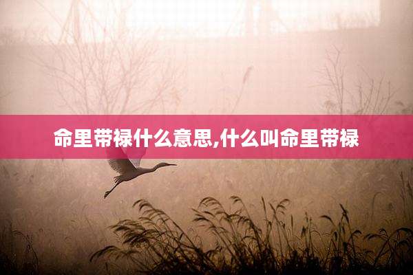 命里带禄什么意思,什么叫命里带禄