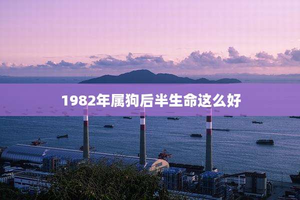 1982年属狗后半生命这么好