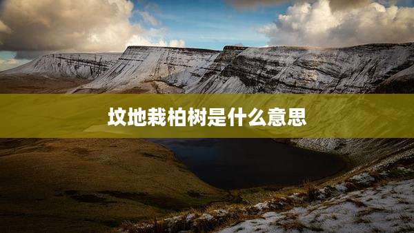 坟地栽柏树是什么意思