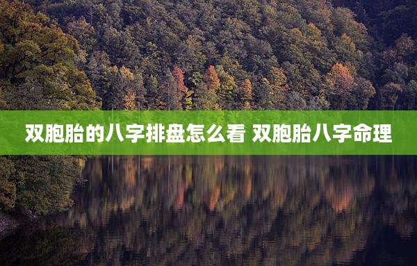 双胞胎的八字排盘怎么看 双胞胎八字命理