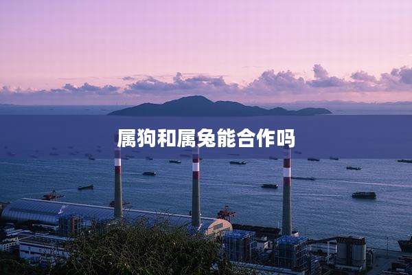 属狗和属兔能合作吗