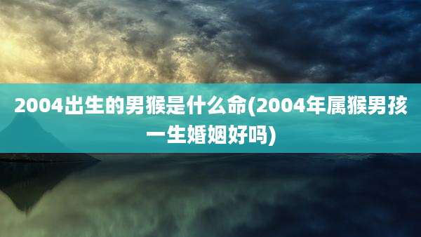 2004出生的男猴是什么命(2004年属猴男孩一生婚姻好吗)