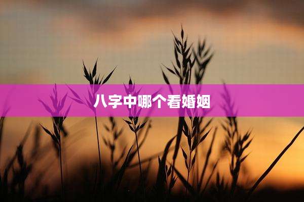 八字中哪个看婚姻