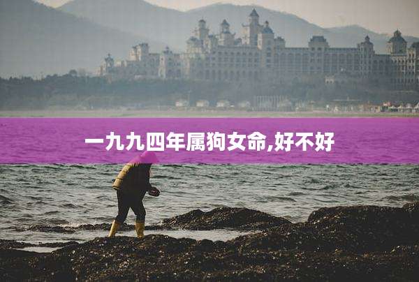 一九九四年属狗女命,好不好