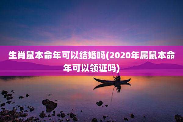 生肖鼠本命年可以结婚吗(2020年属鼠本命年可以领证吗)