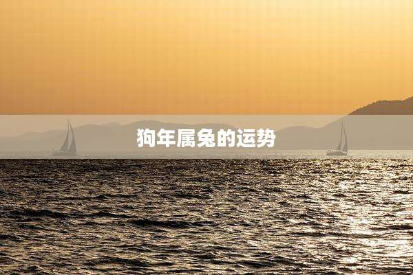 狗年属兔的运势