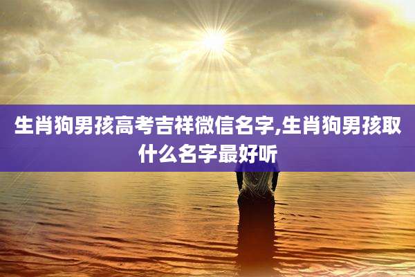 生肖狗男孩高考吉祥微信名字,生肖狗男孩取什么名字最好听