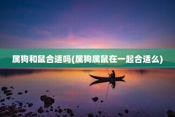 属狗和鼠合适吗(属狗属鼠在一起合适么)