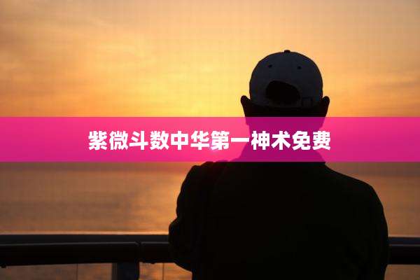 紫微斗数中华第一神术免费