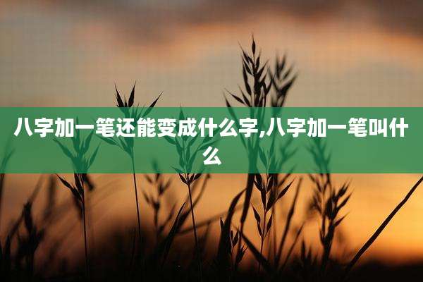 八字加一笔还能变成什么字,八字加一笔叫什么