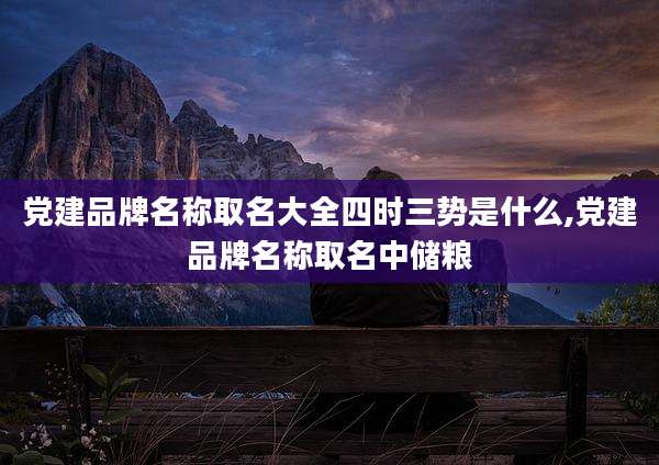 党建品牌名称取名大全四时三势是什么,党建品牌名称取名中储粮