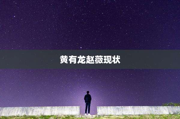 黄有龙赵薇现状