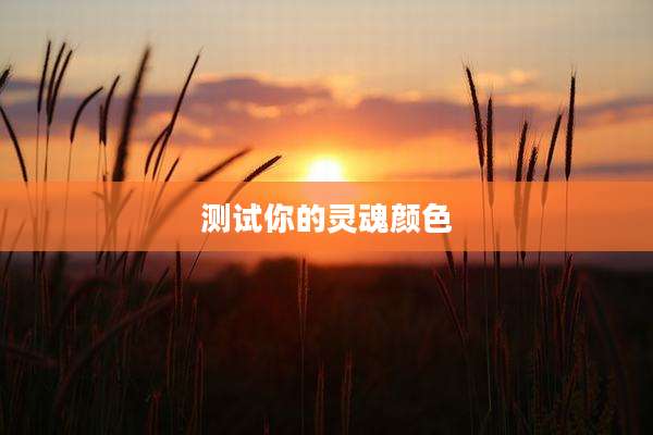测试你的灵魂颜色