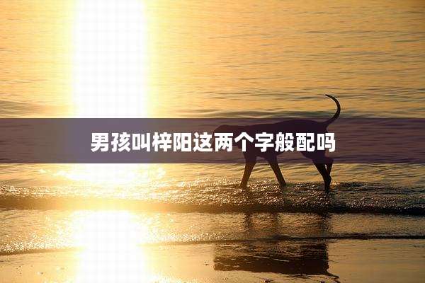 男孩叫梓阳这两个字般配吗