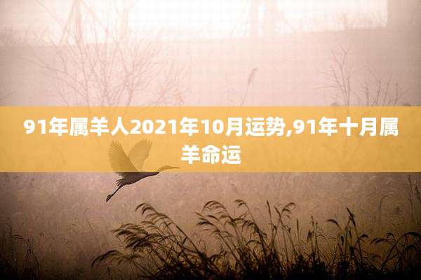 91年属羊人2021年10月运势,91年十月属羊命运