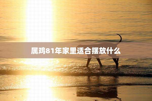 属鸡81年家里适合摆放什么
