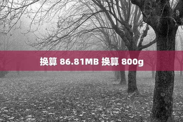 换算 86.81MB 换算 800g