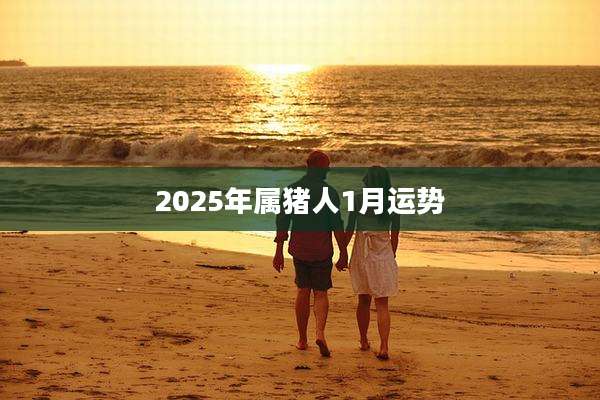 2025年属猪人1月运势