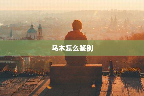 乌木怎么鉴别