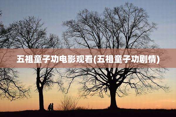 五祖童子功电影观看(五祖童子功剧情)