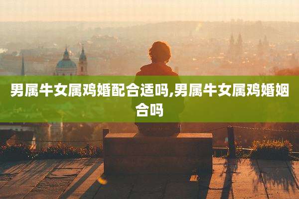 男属牛女属鸡婚配合适吗,男属牛女属鸡婚姻合吗