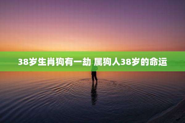 38岁生肖狗有一劫 属狗人38岁的命运