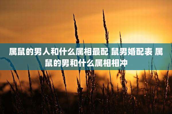 属鼠的男人和什么属相最配 鼠男婚配表 属鼠的男和什么属相相冲