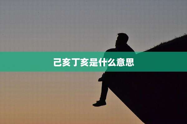 己亥丁亥是什么意思