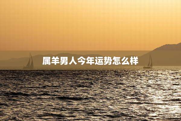 属羊男人今年运势怎么样