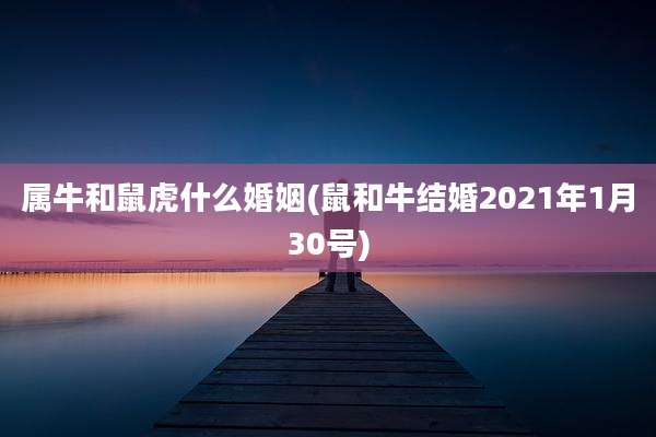 属牛和鼠虎什么婚姻(鼠和牛结婚2021年1月30号)