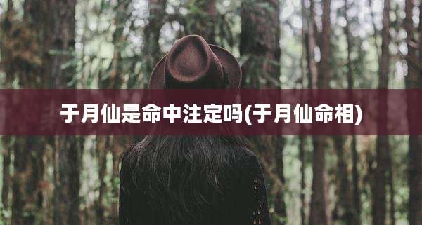于月仙是命中注定吗(于月仙命相)