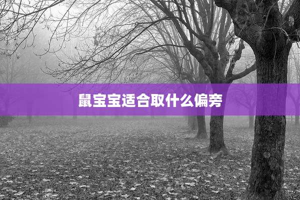 鼠宝宝适合取什么偏旁