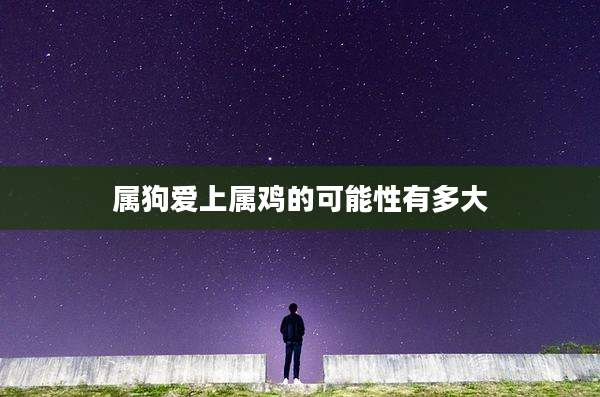 属狗爱上属鸡的可能性有多大