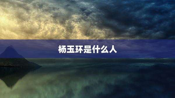 杨玉环是什么人