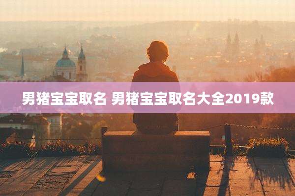 男猪宝宝取名 男猪宝宝取名大全2019款