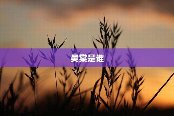 吴棠是谁