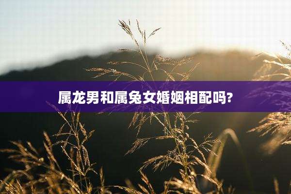属龙男和属兔女婚姻相配吗?