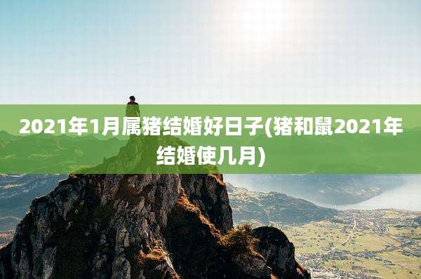 2021年1月属猪结婚好日子(猪和鼠2021年结婚使几月)