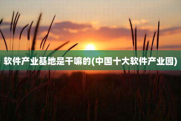 软件产业基地是干嘛的(中国十大软件产业园)