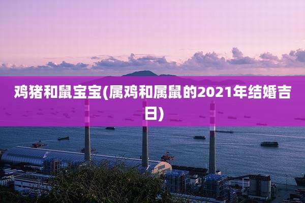 鸡猪和鼠宝宝(属鸡和属鼠的2021年结婚吉日)