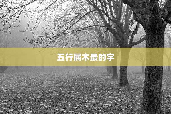 五行属木最的字