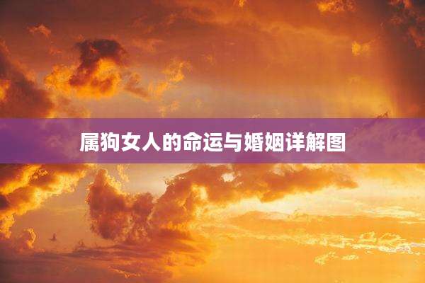 属狗女人的命运与婚姻详解图