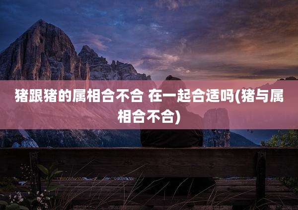 猪跟猪的属相合不合 在一起合适吗(猪与属相合不合)