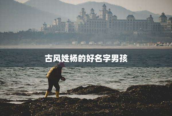 古风姓杨的好名字男孩