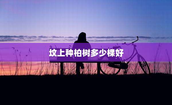 坟上种柏树多少棵好