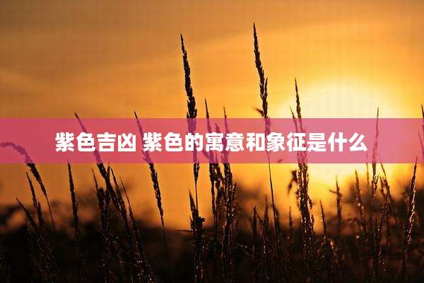 紫色吉凶 紫色的寓意和象征是什么