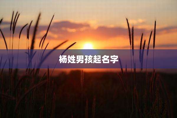 杨姓男孩起名字