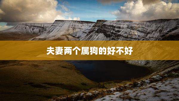夫妻两个属狗的好不好