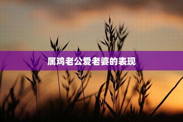 属鸡老公爱老婆的表现