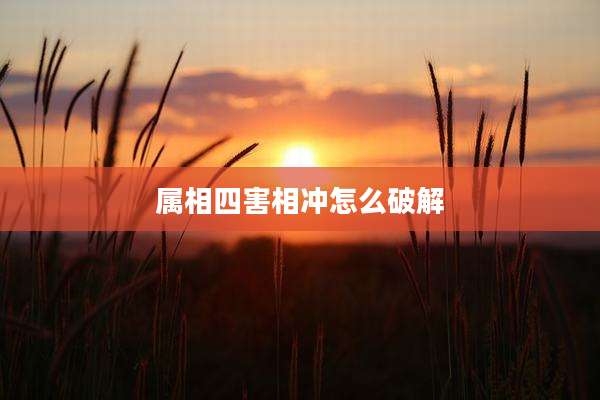 属相四害相冲怎么破解